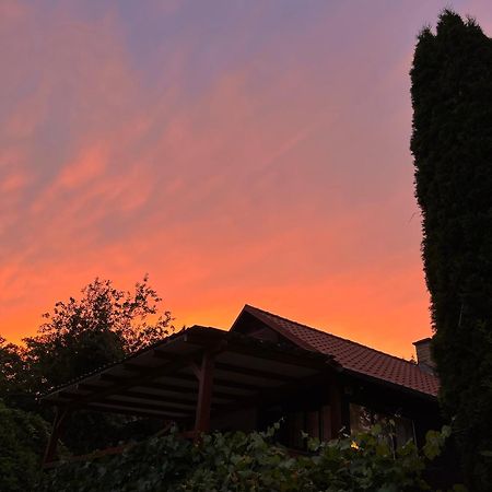 Chata Velký Rybník Miskovice  Exteriér fotografie