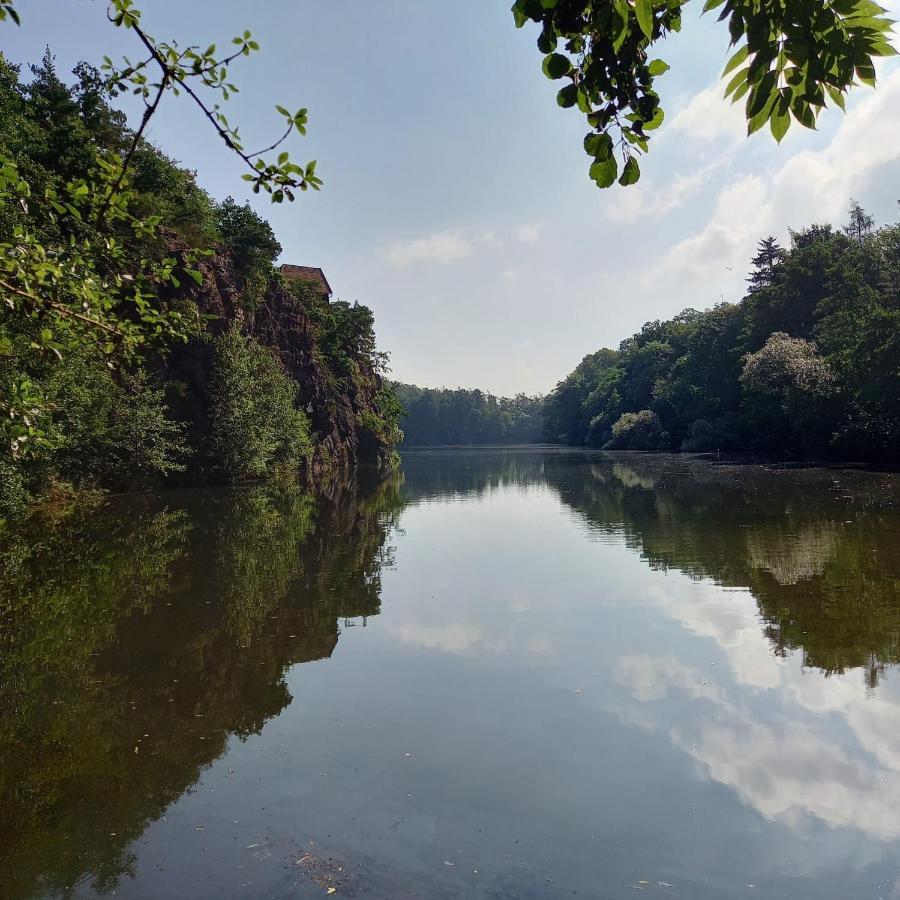 Chata Velký Rybník Miskovice  Exteriér fotografie